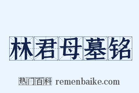 林君母墓铭是什么意思的图片